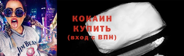 mix Инта
